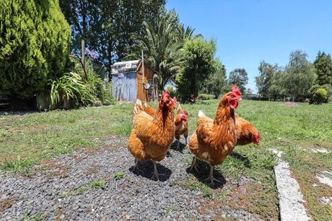 Photo of property in 41 Bossons Road, Te Aroha, 3320