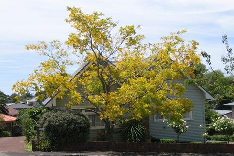 Photo of property in 24 Lloyd Avenue, Mount Albert, Auckland, 1025