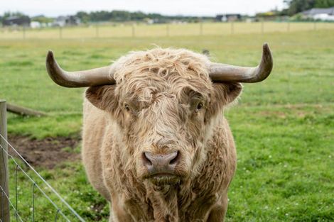 Photo of property in 30 Taylor East, Makarewa, Invercargill, 9876