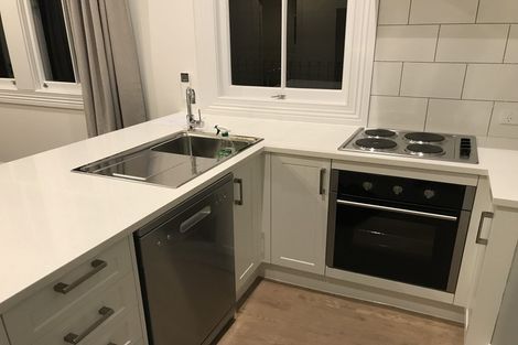 Photo of property in 23 Buchanan Street, Kingsland, Auckland, 1021