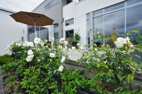 Photo of property in 7 Heritage Avenue, Chartwell, Hamilton, 3210