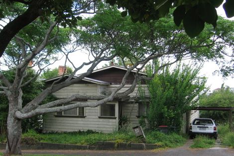 Photo of property in 51 First Avenue, Kingsland, Auckland, 1021