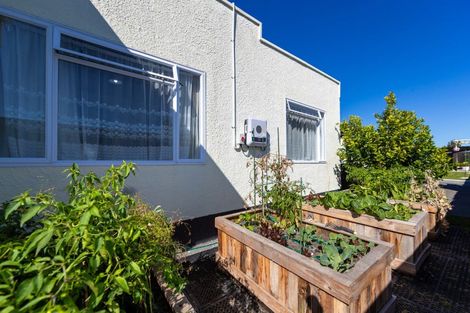 Photo of property in 22 White Street, Taradale, Napier, 4112