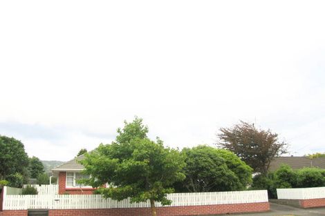 Photo of property in 19 Redwood Street, Elderslea, Upper Hutt, 5018