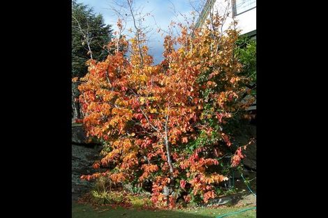 Photo of property in 3 Fox Street, Alexandra, 9320