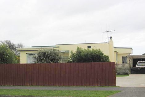 Photo of property in 69 Salisbury Street, Levin, 5510