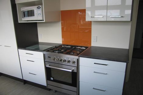 Photo of property in 41 Hankey Street, Mount Cook, Wellington, 6011