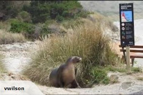 Photo of property in 4 Pari Street, Aramoana, Port Chalmers, 9082