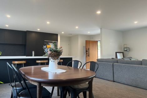 Photo of property in 95a Linton Street, West End, Palmerston North, 4410