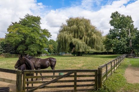 Photo of property in 59 Fuchsia Lane, Tamahere, Hamilton, 3284