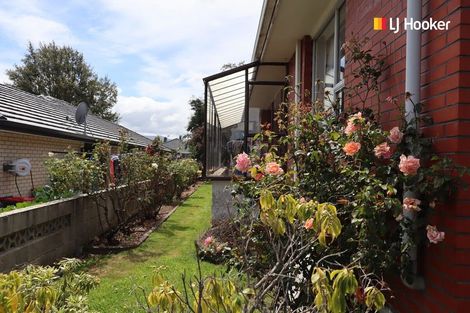 Photo of property in 29 Mcdonald Street, Mosgiel, 9024