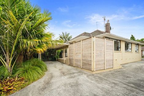 Photo of property in 23 Tripoli Road, Panmure, Auckland, 1072
