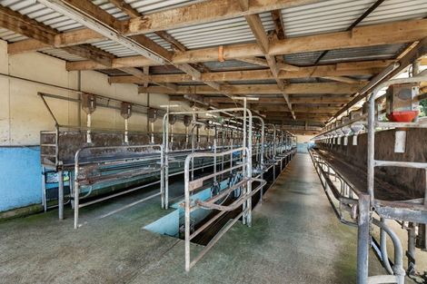 Photo of property in 55a Waitawheta Road, Waikino, Waihi, 3682