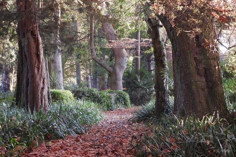 Photo of property in Ashfield, 410 Orari Station Road, Geraldine, 7992