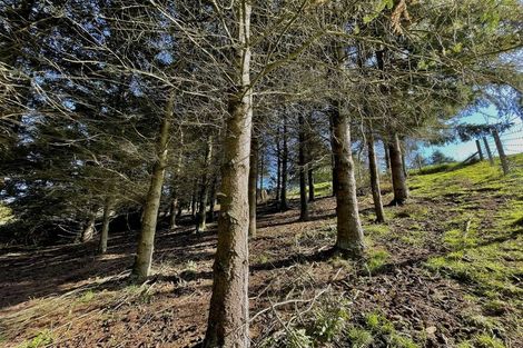 Photo of property in 88 Maytown Road, Waimate, 7978