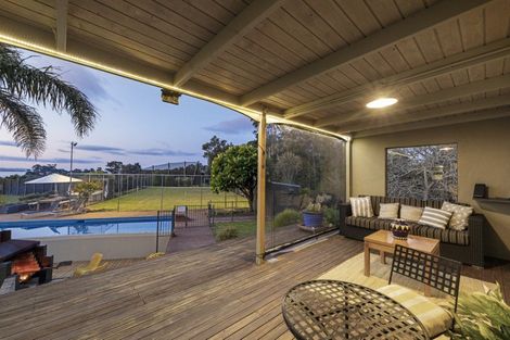 Photo of property in 293 Pahoia Road, Whakamarama, Tauranga, 3172