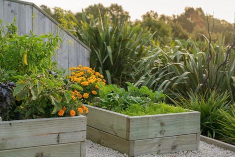 Photo of property in 30 Hass Drive, Ohauiti, Tauranga, 3112