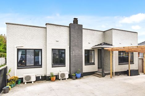 Photo of property in 325 Massey Road, Mangere East, Auckland, 2024