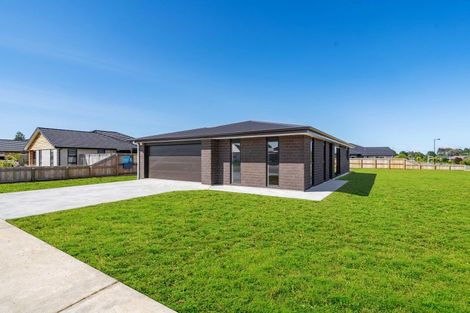 Photo of property in 5 Fantail Avenue, Carterton, 5713