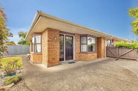 Photo of property in 56b Queen Street West, Levin, 5510