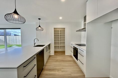 Photo of property in 94 Monarch Drive, Rolleston, 7614