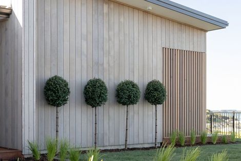 Photo of property in 19 Ridge Drive, Omokoroa, 3114