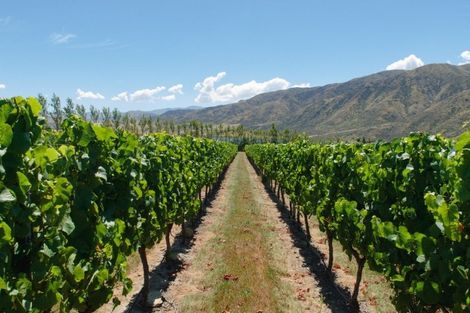 Photo of property in 49 Awahokomo Road, Kurow, 9435