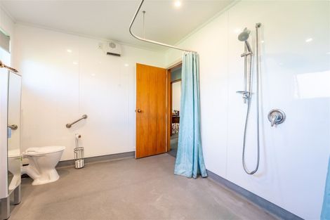 Photo of property in 45a Mckenzie Street, Geraldine, 7930