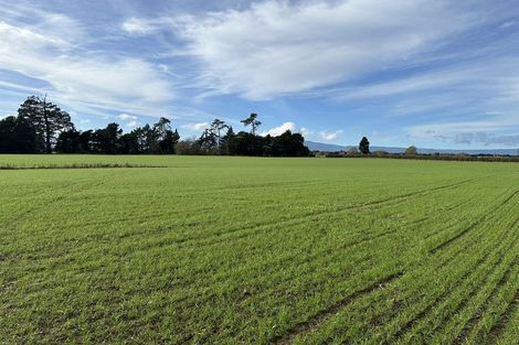 Photo of property in 314 Campbell Road, Richmond Downs, Walton, 3475