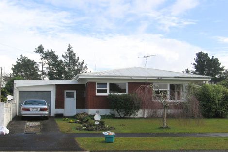 Photo of property in 77 Fitzroy Avenue, Fitzroy, Hamilton, 3206