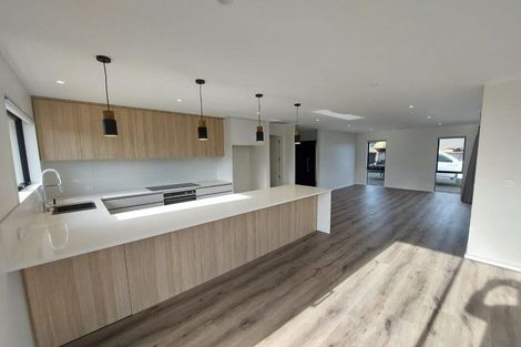 Photo of property in 17 Quarters Place, Halswell, Christchurch, 8025