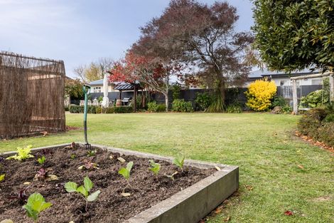 Photo of property in 23 Guthrie Road, Havelock North, 4130