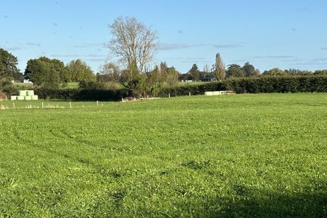 Photo of property in 3799 Ohaupo Road, Ohaupo, 3882