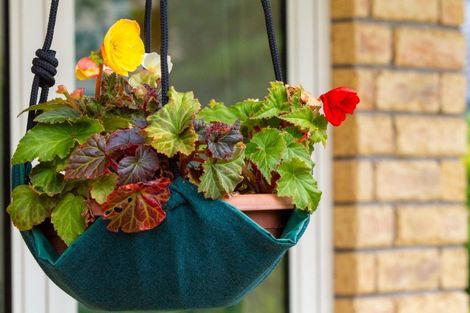 Photo of property in 34 Francis Drive, Katikati, 3129