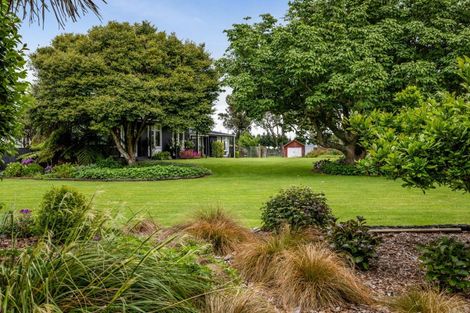 Photo of property in 41 Suther Street, Waverley, 4510