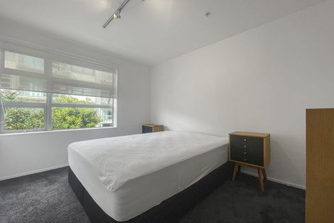 Photo of property in Revolucion Apartments, 203n/28 Torrens Terrace, Mount Cook, Wellington, 6011