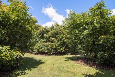 Photo of property in 134 Matahui Road, Aongatete, Katikati, 3181