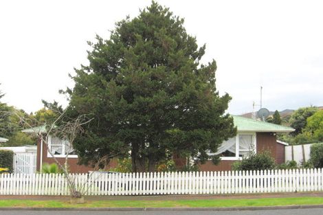 Photo of property in 105 Abingdon Place, Thames, 3500