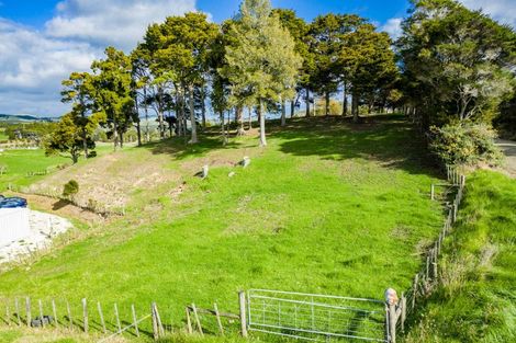 Photo of property in 251 Griffin Road, Maungaturoto, 0583