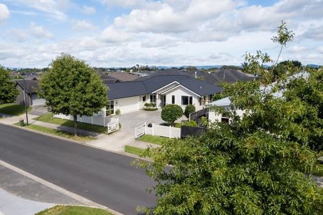 Photo of property in 53 Meadowfield Street, Flagstaff, Hamilton, 3210