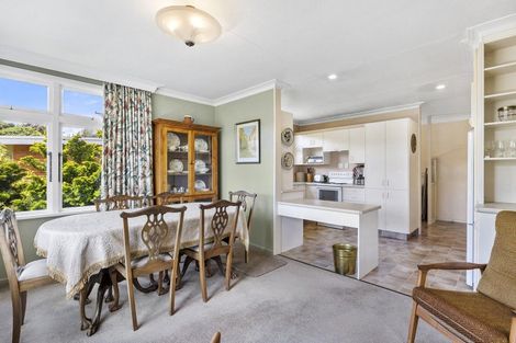 Photo of property in 47 Signal Hill Road, Opoho, Dunedin, 9010