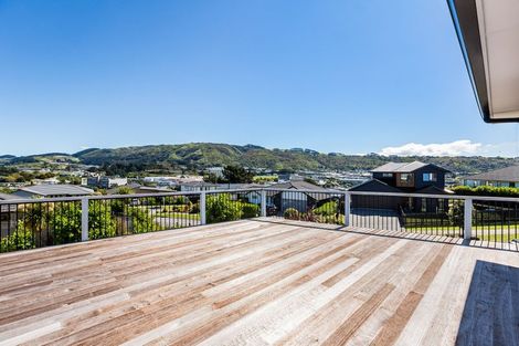 Photo of property in 117 John Burke Drive, Aotea, Porirua, 5024