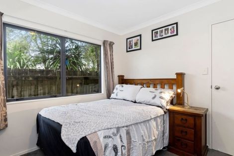 Photo of property in 49 Solomon Street, Brookfield, Tauranga, 3110