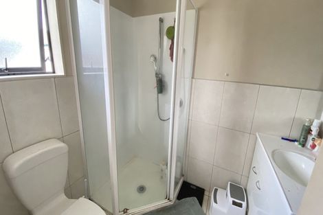 Photo of property in 17 Innisowen Place, Flat Bush, Auckland, 2019