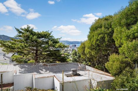 Photo of property in 94 Mortimer Terrace, Brooklyn, Wellington, 6021