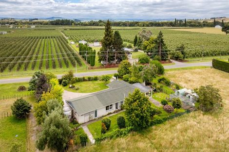 Photo of property in 68 Hill Road, Twyford, Hastings, 4175