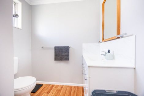 Photo of property in 236 Tremaine Avenue, Highbury, Palmerston North, 4412