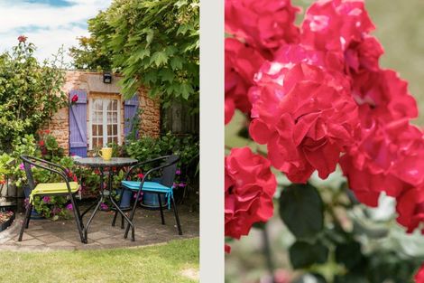 Photo of property in 53 Jasmine Place, Mount Maunganui, 3116