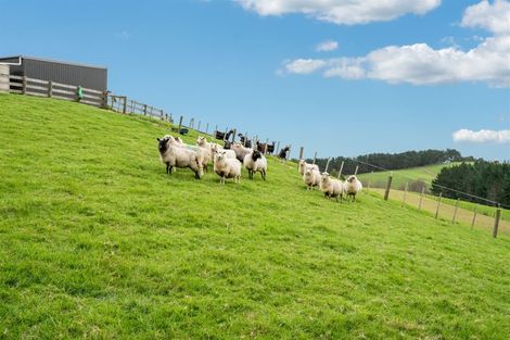 Photo of property in 42c Kaipara View Road, Helensville, 0875