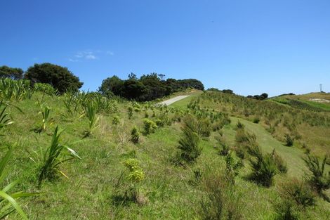 Photo of property in 1594 Colville Road, Amodeo Bay, Coromandel, 3584